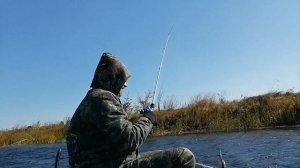 Жор щуки на мелководье  Ловля щуки на воблера по мели с лодки!