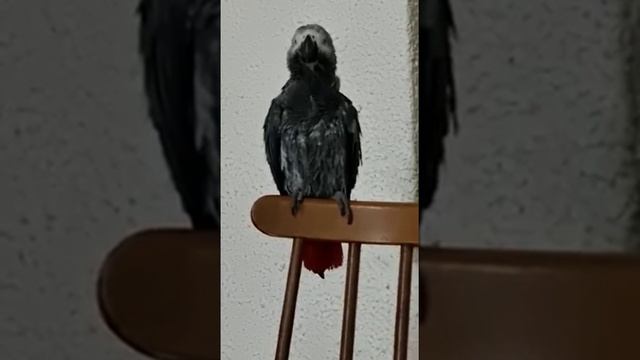 Смотреть всем на 