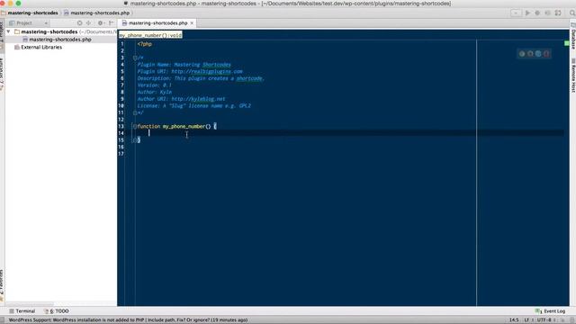 How to make a basic shortcode in WordPress смотреть онлайн