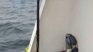 Путешествие на Баренцево море. Рыбалка в Ура-Губа. За треской. Часть 1. 31.05.2022.