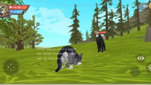 призивайю проклятого игрока в вилд крафт