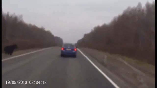 Oholero Freddy Fazbear смотреть онлайн