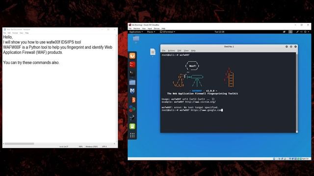 wafw00f IDS/IPS in Kali Linux смотреть онлайн