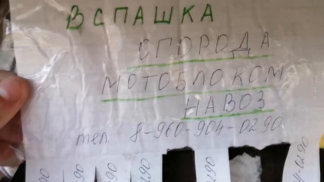Стая 2021 Весна смотреть онлайн