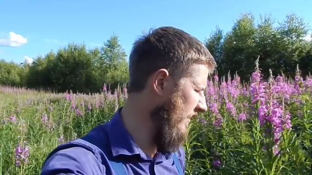 Второе разочарование лета смотреть онлайн