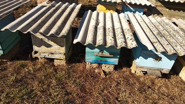 Садовые сокровища