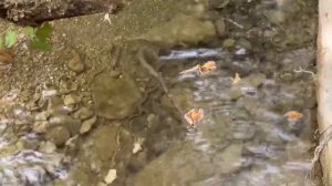 Бухта Инал, пансионат Утес, ГЕБИУССКИЕ водопады (часть 5)