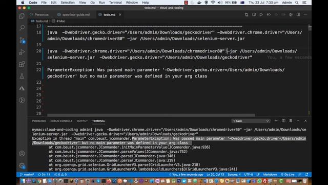 Selenium grid server | ParameterException - no main parameter was defined in your arg class смотреть онлайн