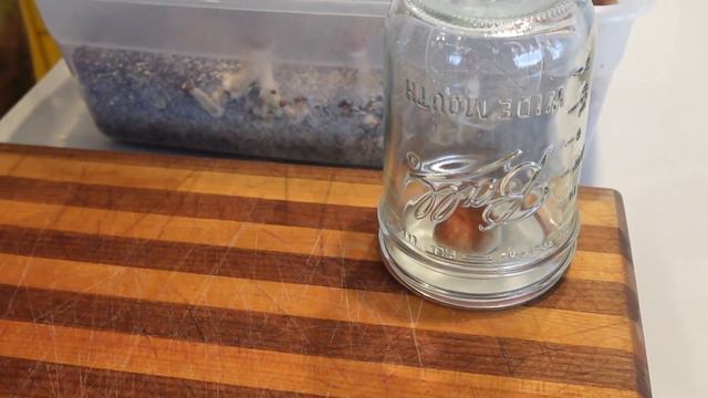 Mushroom growing: Step 9. Spore prints смотреть онлайн