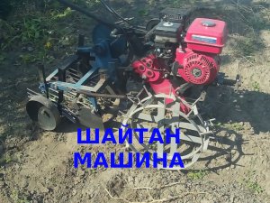Копаем картошку мотоблоком.