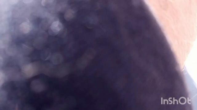 P 51D SHOULD OF WAITED ON RADIOMASTER BOXER. I know the picture is wrong.. смотреть онлайн