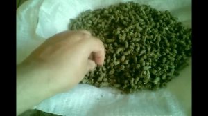 Переработка камыша