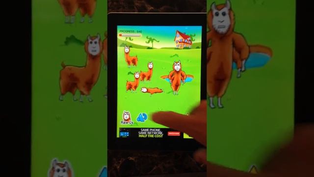 Alpaca Evolution iOS Source Code смотреть онлайн