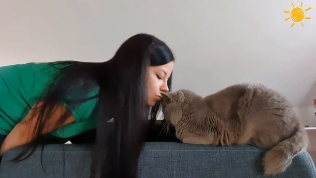 Не могли найти паспорта! Отвозим кота в другой город! Поздние переселенцы. ГЕРМания смотреть онлайн