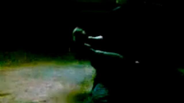 щенок дратхаара 41 день от роду смотреть онлайн