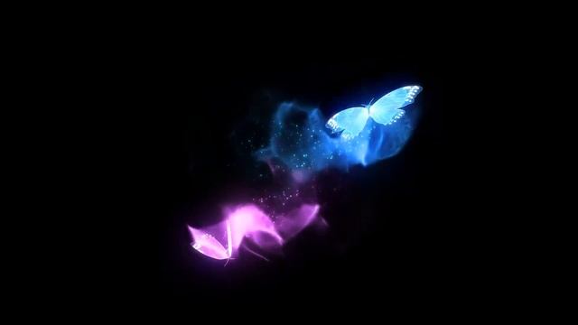 Free Stock Footage   Flying Butterflies Background Black