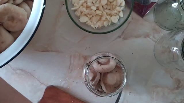 ВьІ такой вкуснотьІ не ели! Переходим от сбора к засолке скрипицьІ. смотреть онлайн