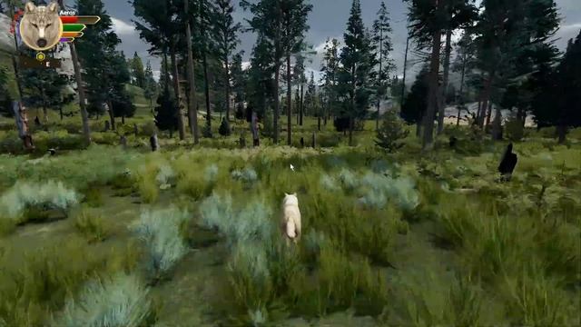 WolfQuest: Anniversary Edition| The Elements Pack: Generation 2| EP.8 - Wolf Family Worries! смотреть онлайн