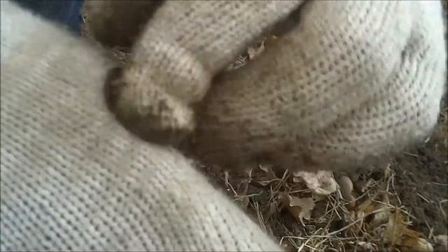 КОП В ШКОЛЬНОМ САДУ ВОТ ТАКОЕ МОЖНО НАЙТИ смотреть онлайн