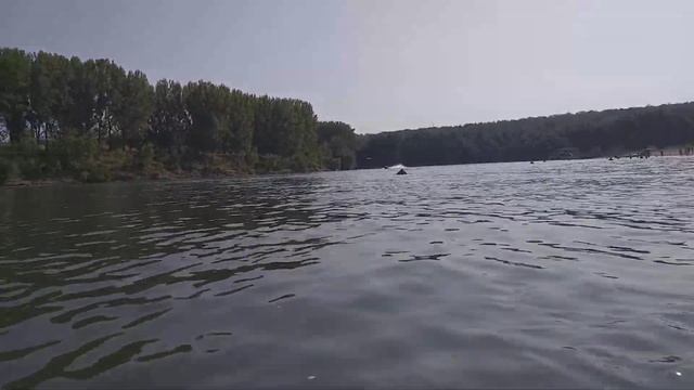 2020 09 16 лето река днестр гидроцикл Вадул луй водэ смотреть онлайн