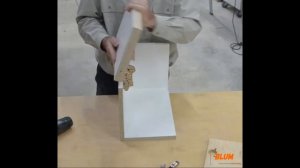 Уникальные свойства «Петля Clip top Blumotion +155° с нулевым вхожением».