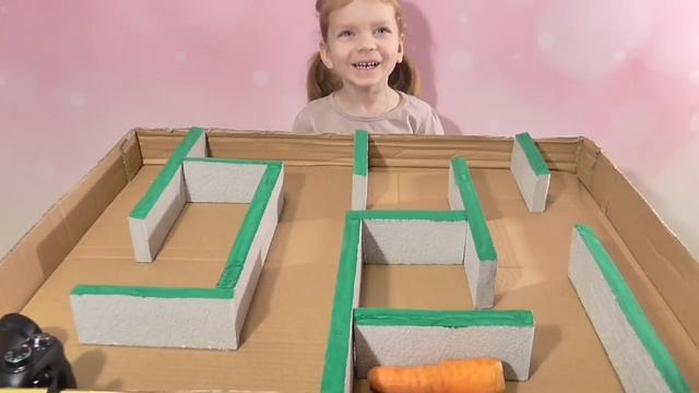 Лабиринт для Грызунов Своими Руками | Морские Свинки в Лабиринте | DIY Guinea Pig Labyrinth смотреть онлайн