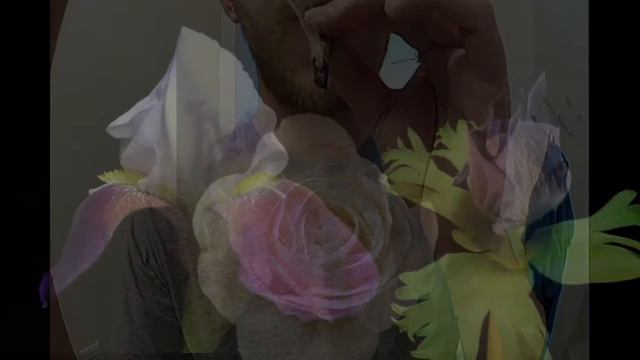 boards of osetia - heal me pls OFFICIAL смотреть онлайн