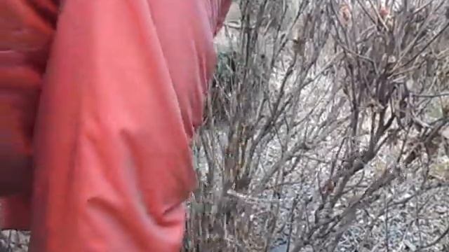 весенняя обрезка древовидного пиона смотреть онлайн