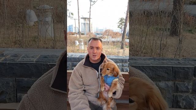 #영어 #English #dachshund #닥스훈트 #기본회화 #ダックスフント смотреть онлайн