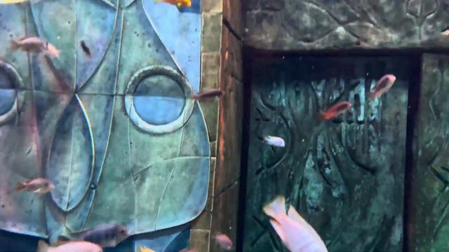 ATLANTIS THE PALM 🇦🇪 DUBAI #atlantisthepalm video by JJWart.com смотреть онлайн