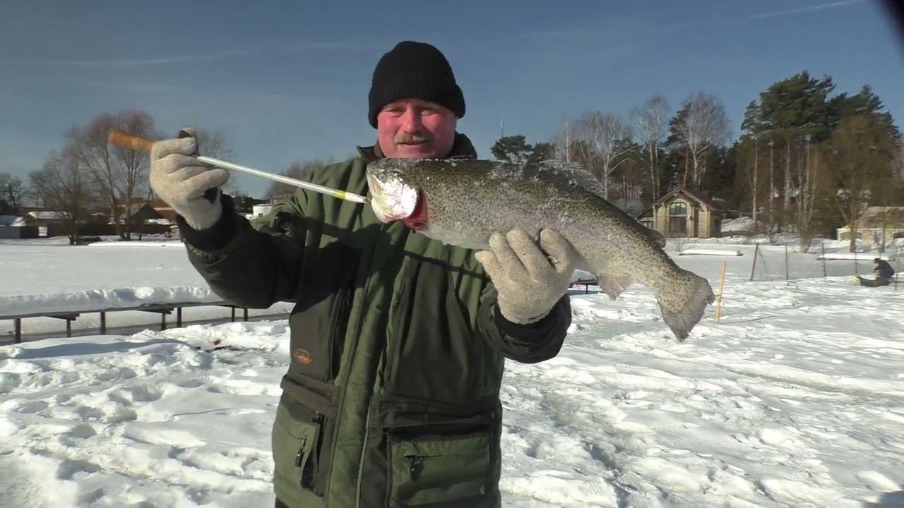 Р.Д.Юрлово. Форелевая зона. Продолжение рыбалки. 10.03.2024 смотреть онлайн