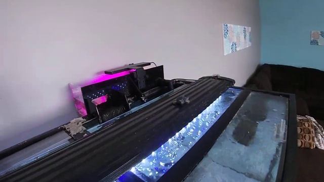 Blue Ocean hob refugium and Aqua gadget chaetomax light review смотреть онлайн