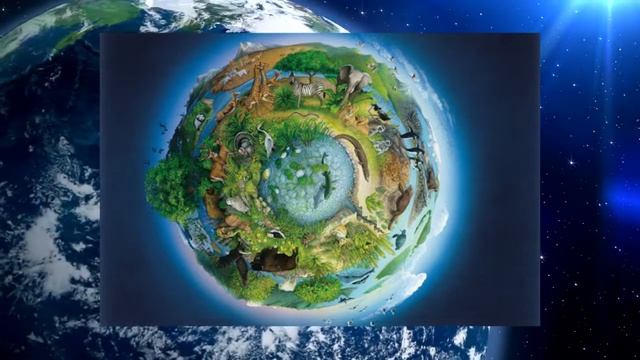 География 5-6кл. §50 "Биосфера - сфера жизни" смотреть онлайн