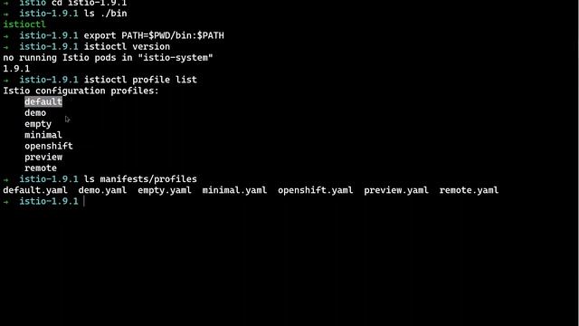 Installing Istio in your k8s cluster смотреть онлайн
