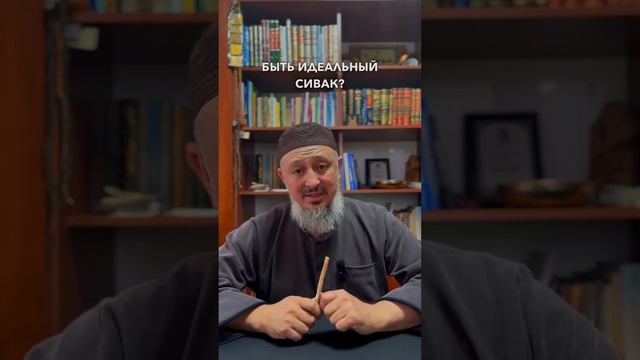 Каким должен быть идеальный сивак? Шейх Ридван смотреть онлайн