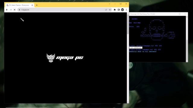 Shadow C2 VS Méga Pc | The Best Botnet #botnet #ddos смотреть онлайн