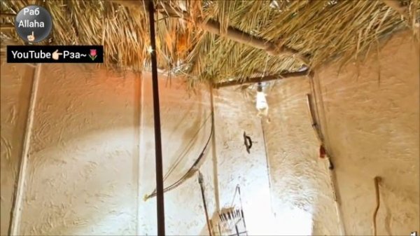 Дом пророка Мухаммада ﷺ