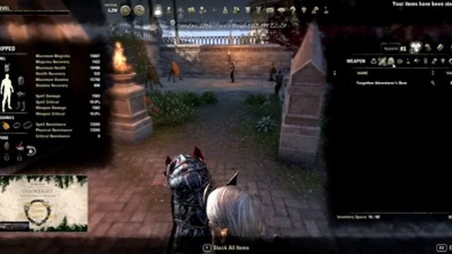 ESO Summerset The Queen's Decree Meet Razum-dar at Anchors Aweigh In.. смотреть онлайн