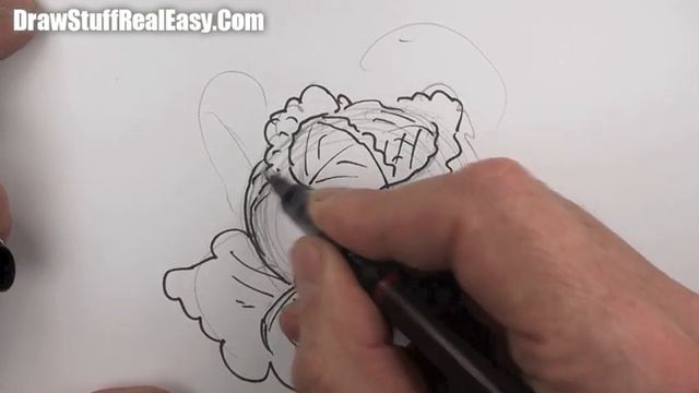 How to draw a cabbage Real Easy | Step by Step with Easy - Spoken Instructions смотреть онлайн