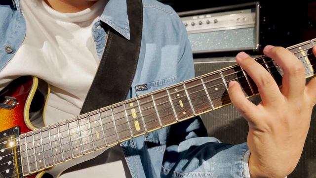 Duesenberg Joe Walsh Signature Model Tone Test - Sherwood Music смотреть онлайн