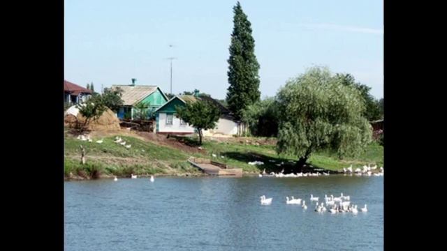 Участок 35 соток на берегу реки Дон! смотреть онлайн