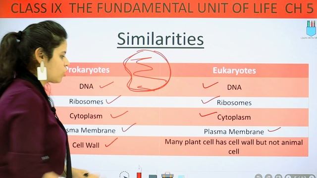 Prokaryotic & Eukaryotic Cell | Chapter 5 | The Fundamental unit Of Life | Class 9 Science смотреть онлайн