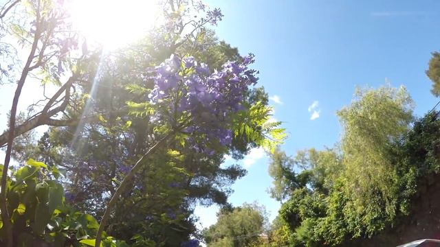 # 83 Камполивар. Элитная Урбанизация Валенсии. Campolivar, Valencia смотреть онлайн