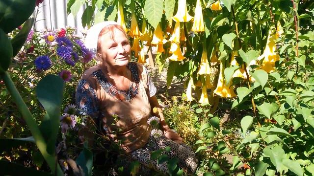 20150921 112847 смотреть онлайн