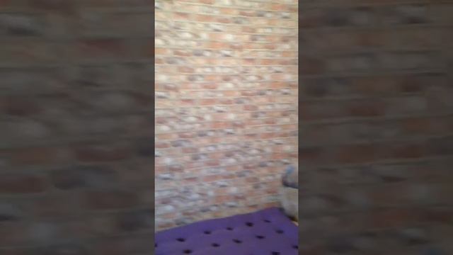 Кровать из поддонов смотреть онлайн