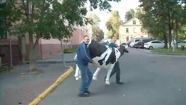 г. Гродно, 20 сентября 2014 г, Центр города, Дэвид Линч отдыхает... смотреть онлайн