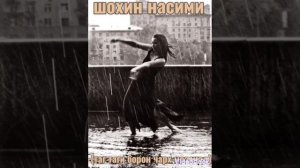 Шохин Насими 2023