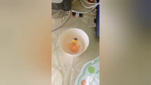 Силиконовые формы в домашних условиях. Формы из Полидела. Молд из герметика. Сделай сам