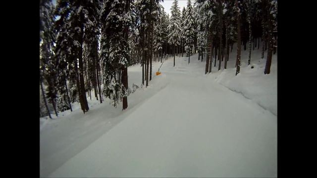 Cavalese - Alpe Cermis: pista Via del Bosco смотреть онлайн