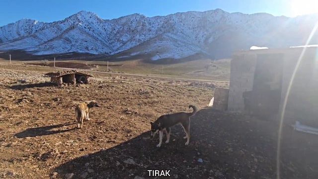 Return and Reclaim: A Grandmother's Quest to Conquer the Nomadic House🏡👵 смотреть онлайн